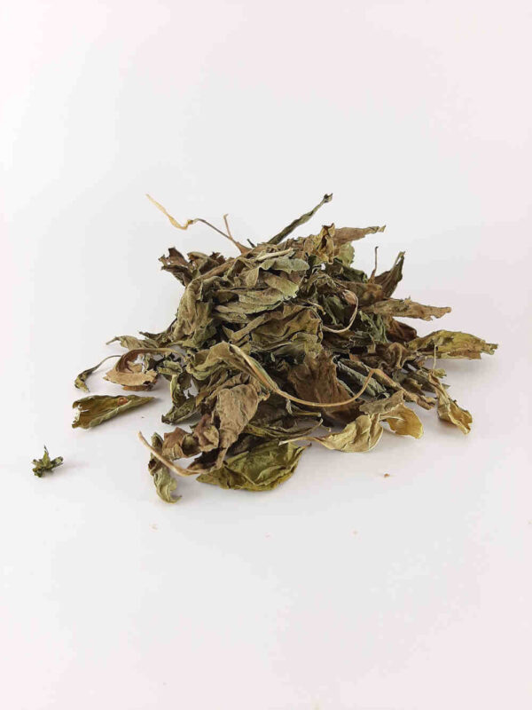 feuilles de basilic bio séchées