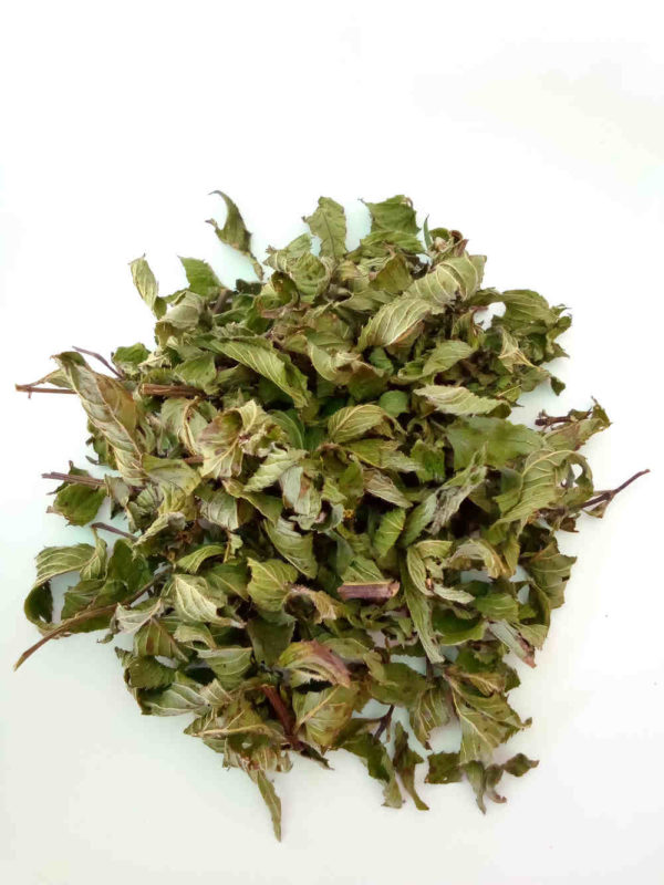 feuilles de menthe gingembre