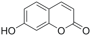 Structure chimique de l’ombelliférone Auteur : Alcibiades