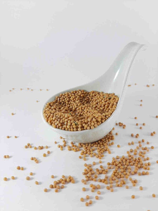 graines de moutarde france bio
