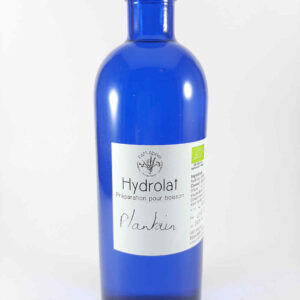 hydrolat de plantain bio produit en france